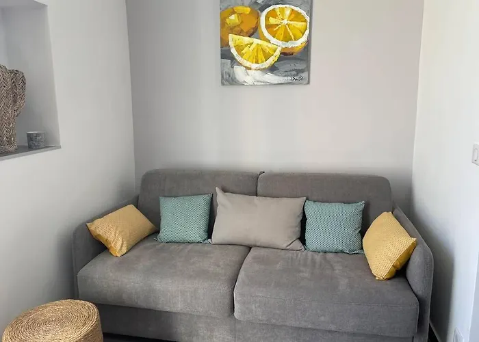 Menton 3 Pieces Vue Mer Bord De Plage Hyper Centre